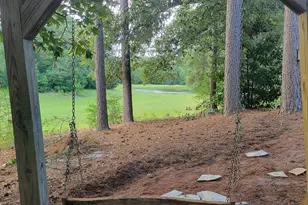 80 Peninsula Point, Aiken, SC 29803 - Photo 5