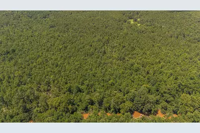 47 Burton Drive, Edgefield, SC 29824 - Photo 9