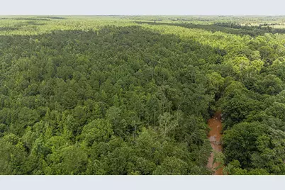 47 Burton Drive, Edgefield, SC 29824 - Photo 5