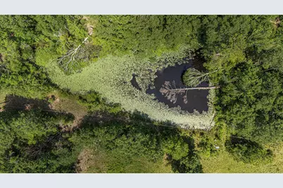 47 Burton Drive, Edgefield, SC 29824 - Photo 3