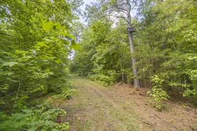 Tbd Burton Drive, Edgefield, SC 29824 - Photo 7