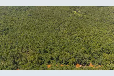 Tbd Burton Drive, Edgefield, SC 29824 - Photo 5