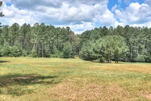 395 New Cut Rd, Edgefield, SC 29824 - Photo 67