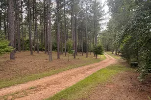 395 New Cut Rd, Edgefield, SC 29824 - Photo 77