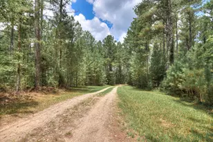 395 New Cut Rd, Edgefield, SC 29824 - Photo 69