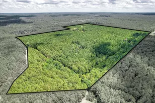 395 New Cut Rd, Edgefield, SC 29824 - Photo 49