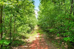 395 New Cut Rd, Edgefield, SC 29824 - Photo 75