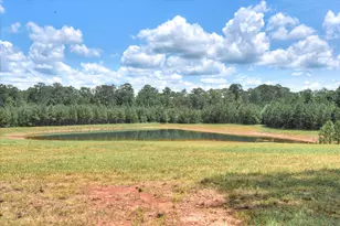 395 New Cut Rd, Edgefield, SC 29824 - Photo 65