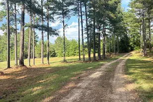 395 New Cut Rd, Edgefield, SC 29824 - Photo 79