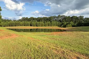 395 New Cut Rd, Edgefield, SC 29824 - Photo 87