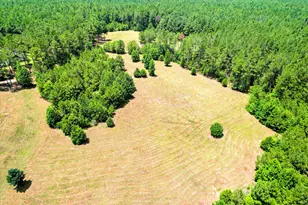 395 New Cut Rd, Edgefield, SC 29824 - Photo 73