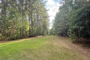 395 New Cut Rd, Edgefield, SC 29824 - Photo 85