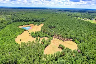 395 New Cut Rd, Edgefield, SC 29824 - Photo 55