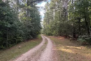 395 New Cut Rd, Edgefield, SC 29824 - Photo 81