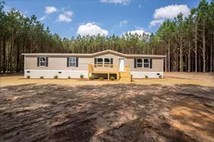 846 Horses Neck Rd, Swansea, SC 29160 - Photo 3