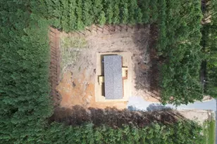 846 Horses Neck Rd, Swansea, SC 29160 - Photo 23