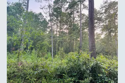 00 Wendell Lane, Wagener, SC 29164 - Photo 3