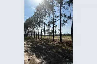 0 Cooks Bridge, Aiken, SC 29805 - Photo 3