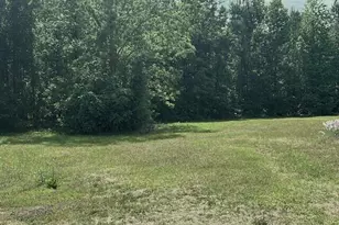 187 Rambo Rd, Allendale, SC 29810 - Photo 19