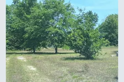 187 Rambo Road, Allendale, SC 29810 - Photo 21