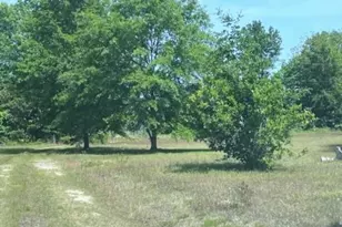 187 Rambo Rd, Allendale, SC 29810 - Photo 21