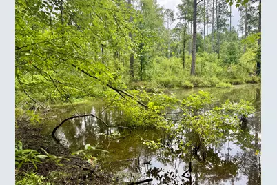 Lot B Camp Creek Road, Lancaster, SC 29720 - Photo 3