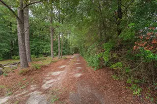 783 Main St S, New Ellenton, SC 29809 - Photo 59