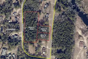 Parcel A Jackson Circle, Wagener, SC 29164 - Photo 1