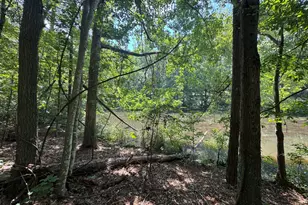 Lot 2 Cardinal Dr, Trenton, SC 29847 - Photo 1