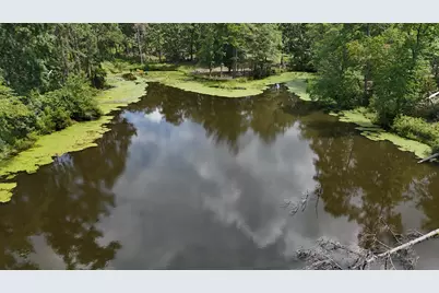 0 Hummingbird Drive, Trenton, SC 29847 - Photo 3