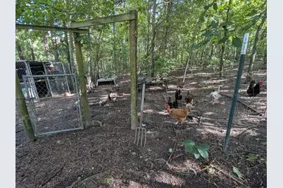 10 New Market Road, Trenton, SC 29847 - Photo 33