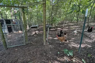 10 New Market Rd, Trenton, SC 29847 - Photo 33