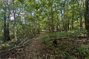 10 New Market Rd, Trenton, SC 29847 - Photo 45