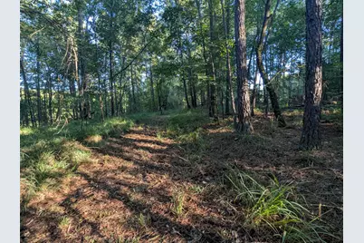 10 New Market Road, Trenton, SC 29847 - Photo 49