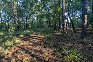 10 New Market Rd, Trenton, SC 29847 - Photo 49