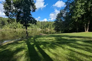 10 New Market Rd, Trenton, SC 29847 - Photo 47