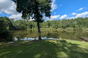 10 New Market Rd, Trenton, SC 29847 - Photo 29