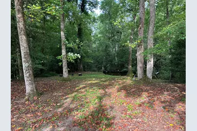 830 Colbert Bridge Road Road, Windsor, SC 29856 - Photo 3