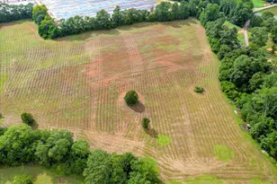 26 Flower Square, Trenton, SC 29847 - Photo 53