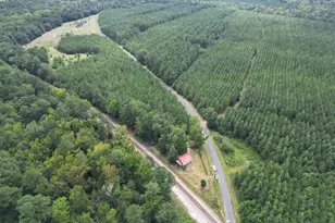 1659 S Steel Creek Rd, Martin, GA 29836 - Photo 17