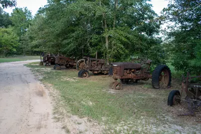 3574 State Rd S-6-81, Williston, SC 29853 - Photo 17