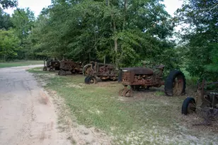 3574 State Rd S-6-81, Williston, SC 29853 - Photo 17