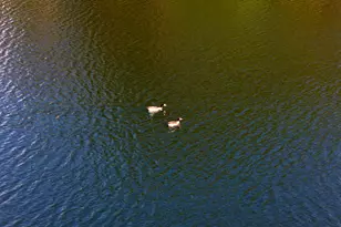 3042 Lake Norman Dr, North Augusta, SC 29841 - Photo 43