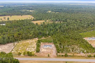 6597 Wagener Rd, Wagener, SC 29164 - Photo 33