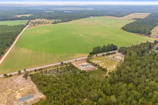 6597 Wagener Rd, Wagener, SC 29164 - Photo 35