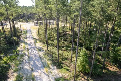 762 White Pond Road, Williston, SC 29853 - Photo 23