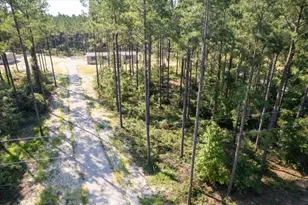 762 White Pond Rd, Williston, SC 29853 - Photo 23