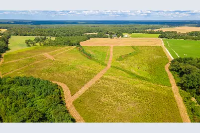 Lot 4 Union Academy Road, Salley, SC 29137 - Photo 5