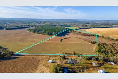 Lot 4 Union Academy Road, Salley, SC 29137 - Photo 11