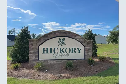 346 Tupelo Pass, Harlem, GA 30814 - Photo 53